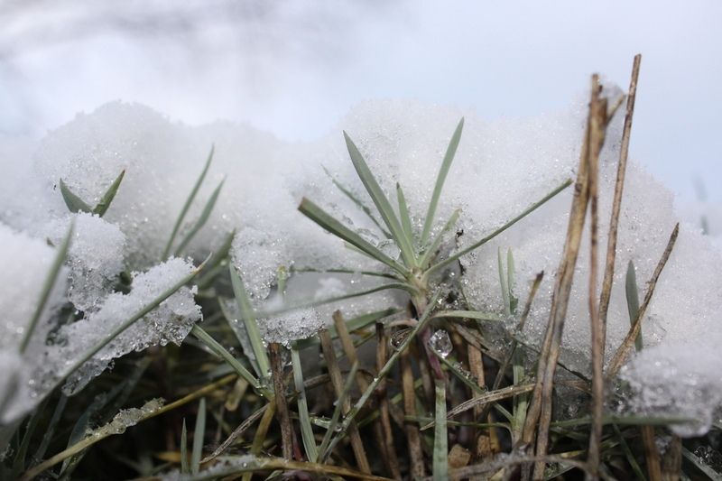 Погода в Петрозаводске существенно не изменится. Прогноз на 20 апреля