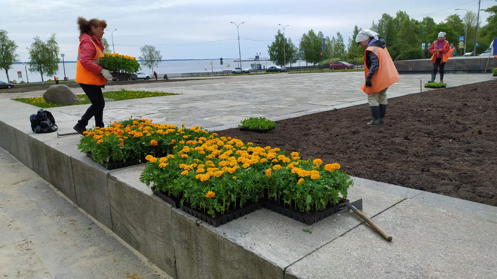 Одну из петрозаводских клумб украсят жители