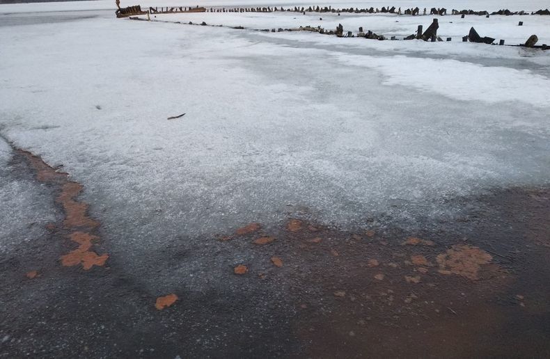 Прокуратура проверяет информацию о загрязнении Онежского озера в Медвежьегорске