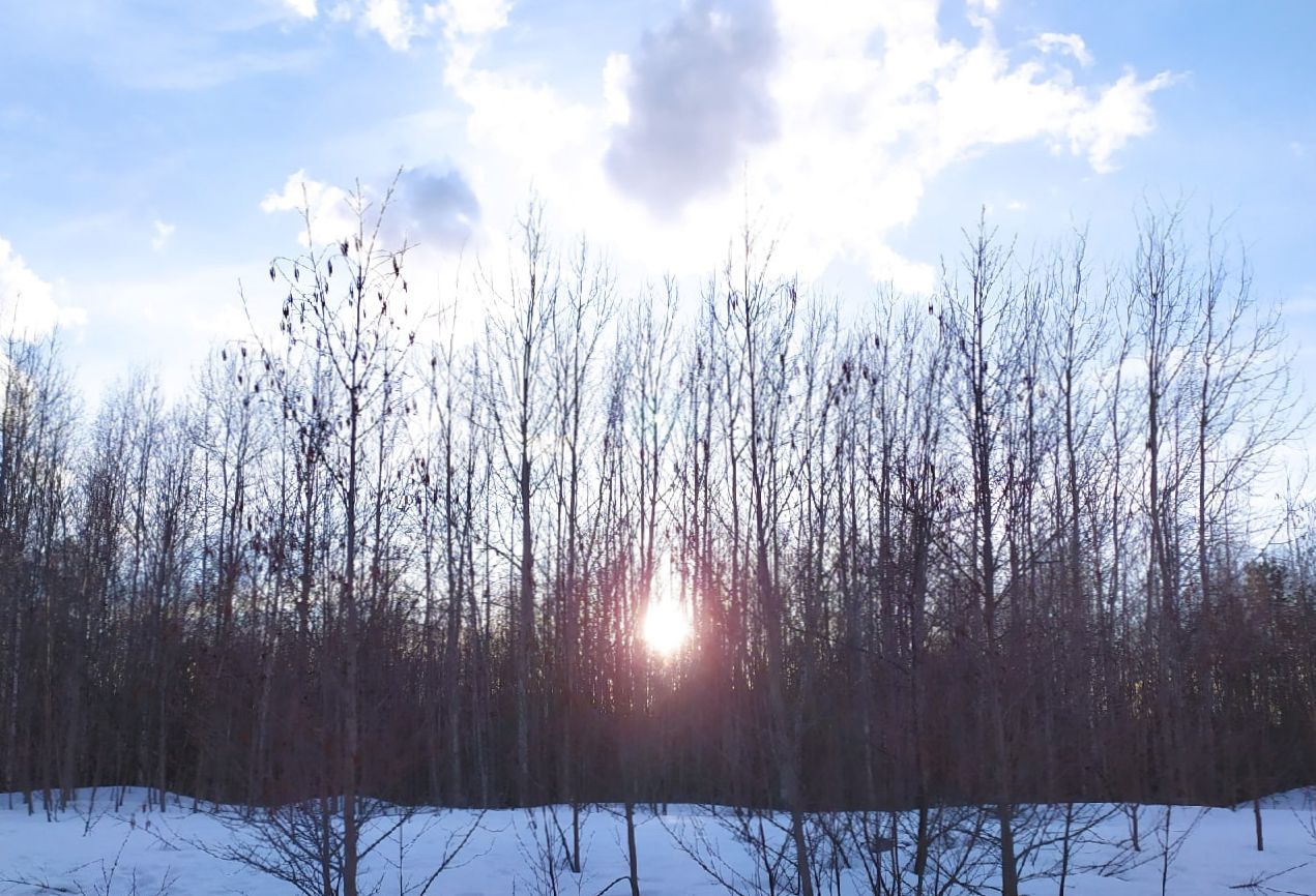 Ночью минус, днем плюс. Прогноз погоды на 30 апреля