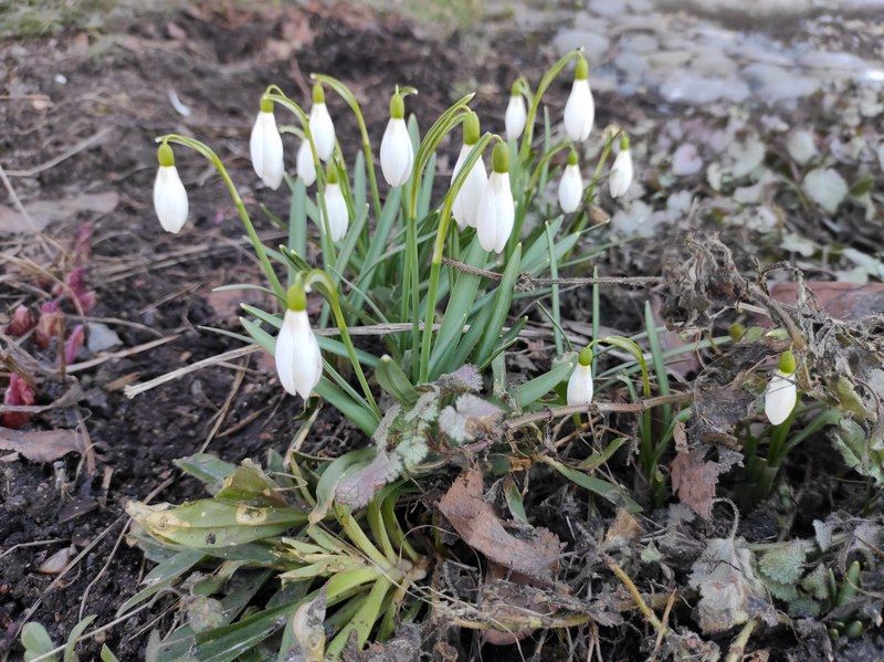 Карельские синоптики подвели итоги марта и дали прогноз на апрель