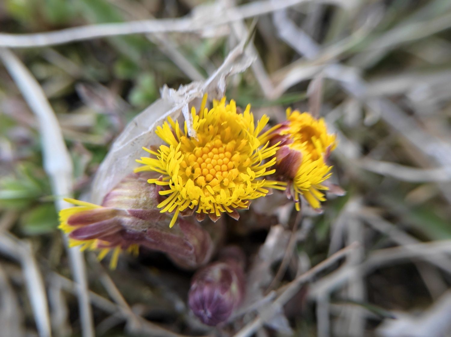 Ночью снег, днем без существенных осадков: прогноз погоды на 16 апреля