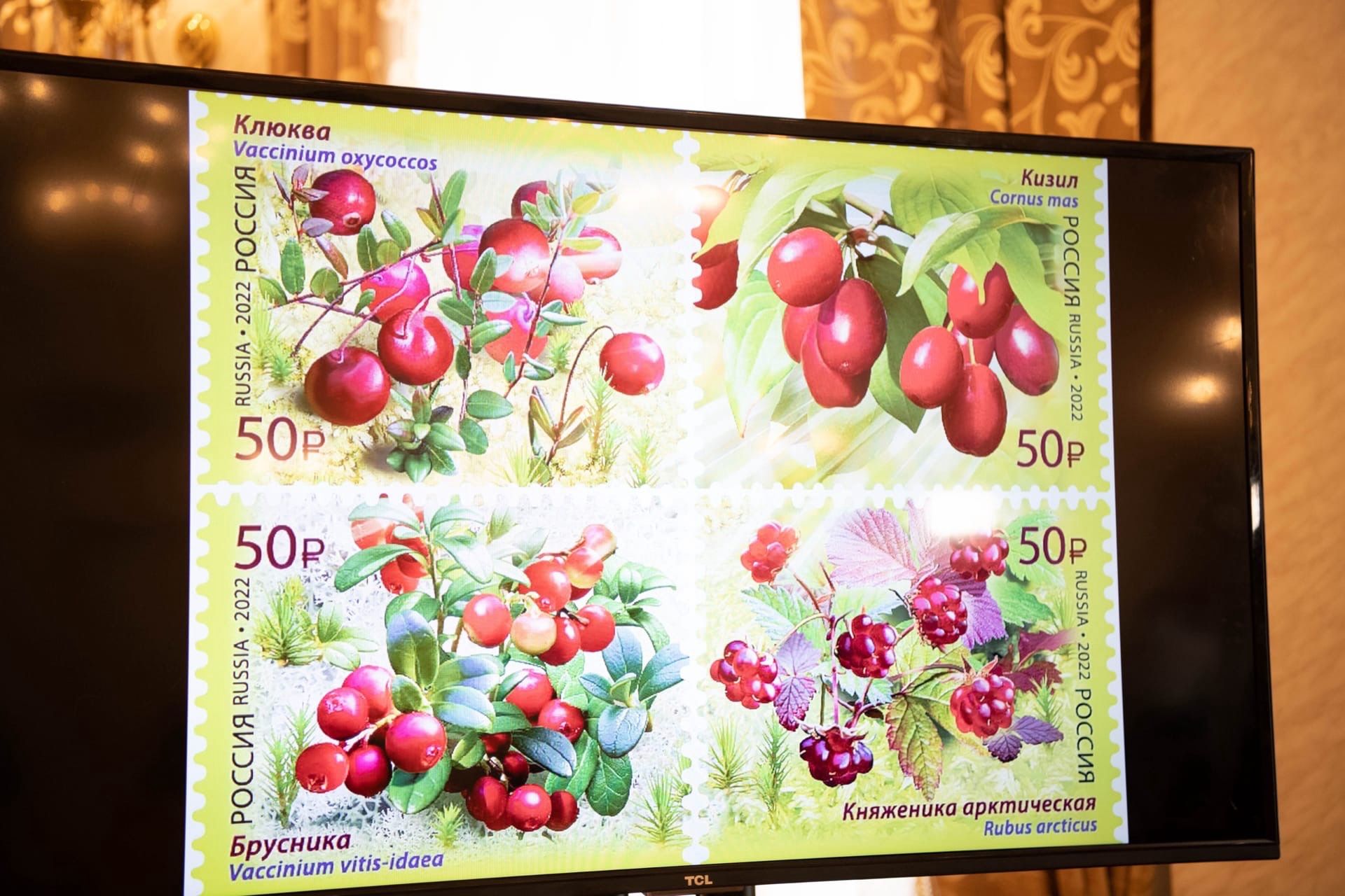 Марки с карельскими ягодами выпустила Почта России