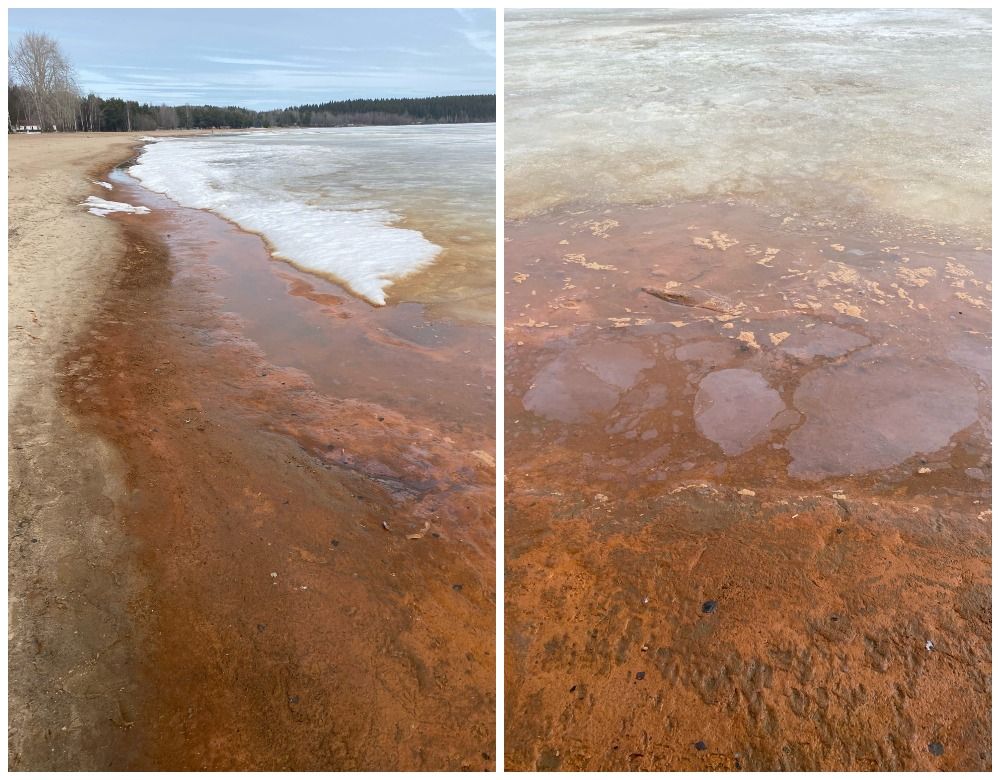 Петрозаводчане обнаружили в Песках следы выбросов в воду