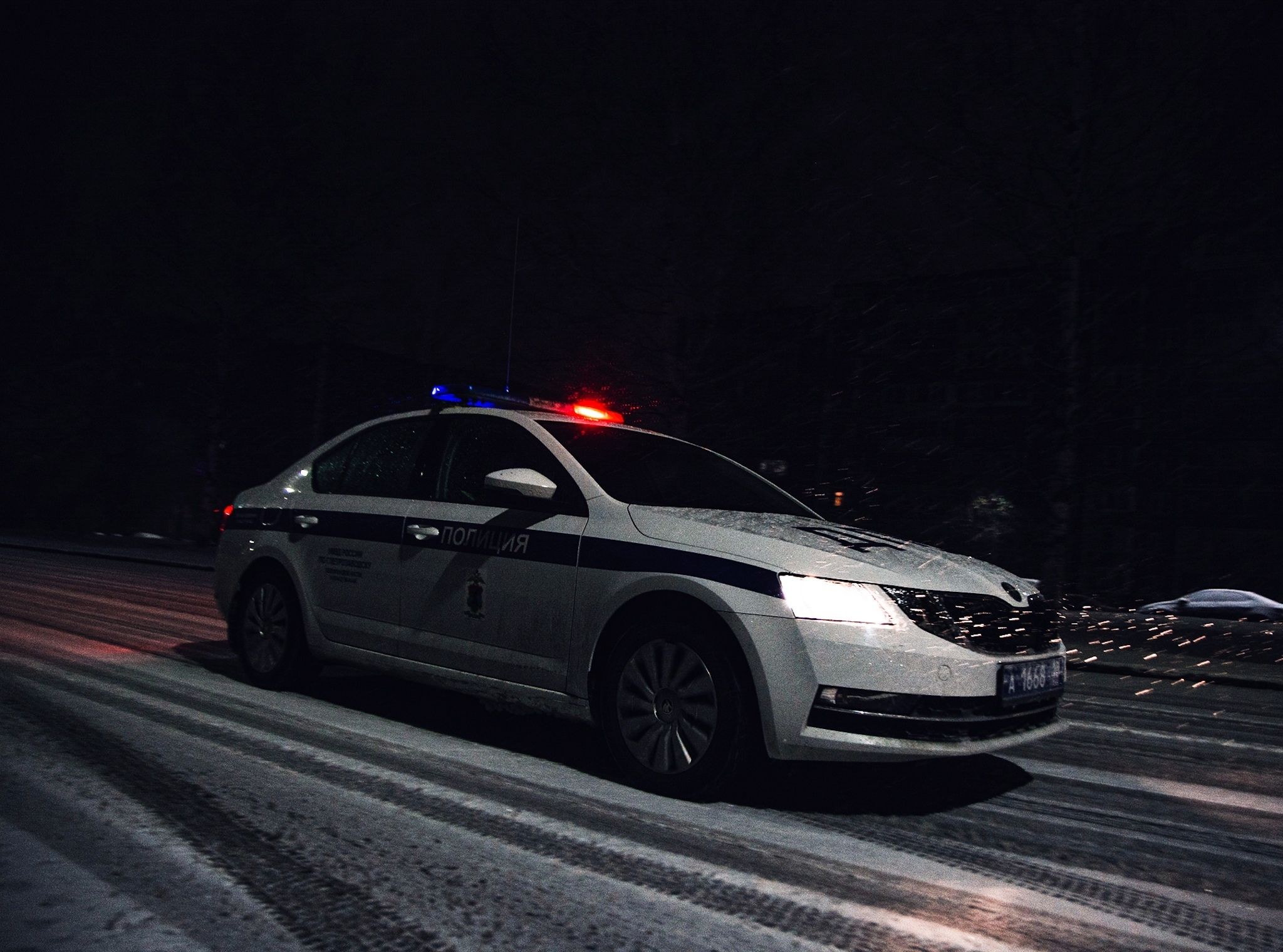 В Карелии почти на 40% снизилось количество особо тяжких преступлений