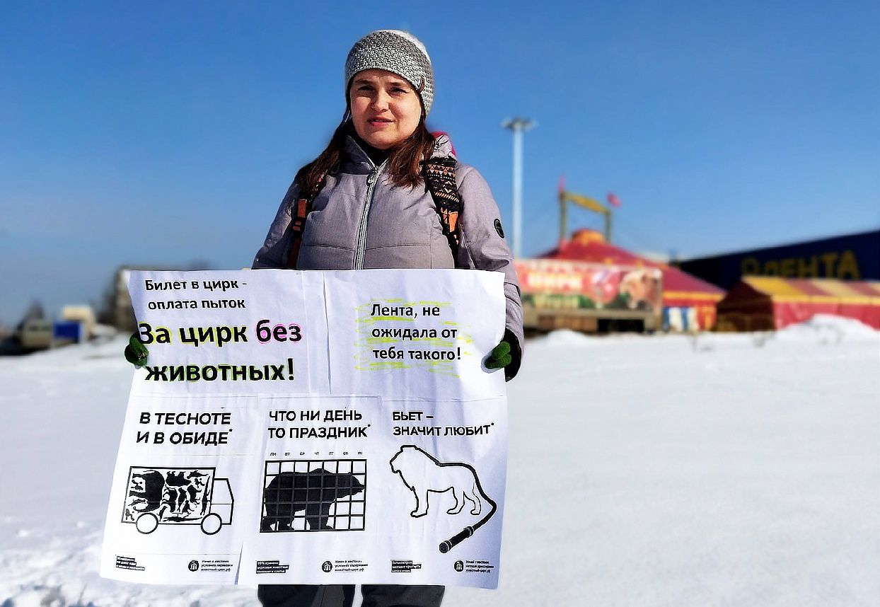 Петрозаводская зоозащитница провела одиночный пикет против цирков