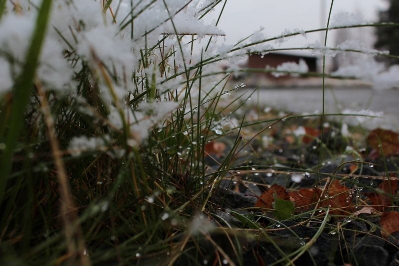 Гололедица и мокрый снег: прогноз погоды на 7 апреля