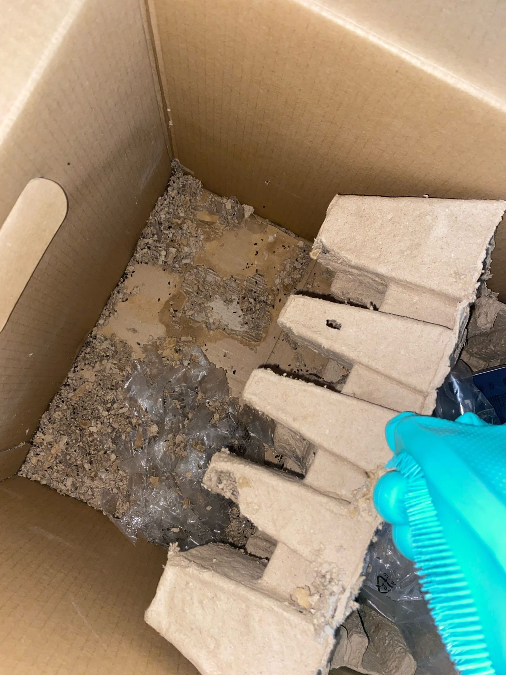 Посылку с душком получила петрозаводчанка от интернет-магазина OZON