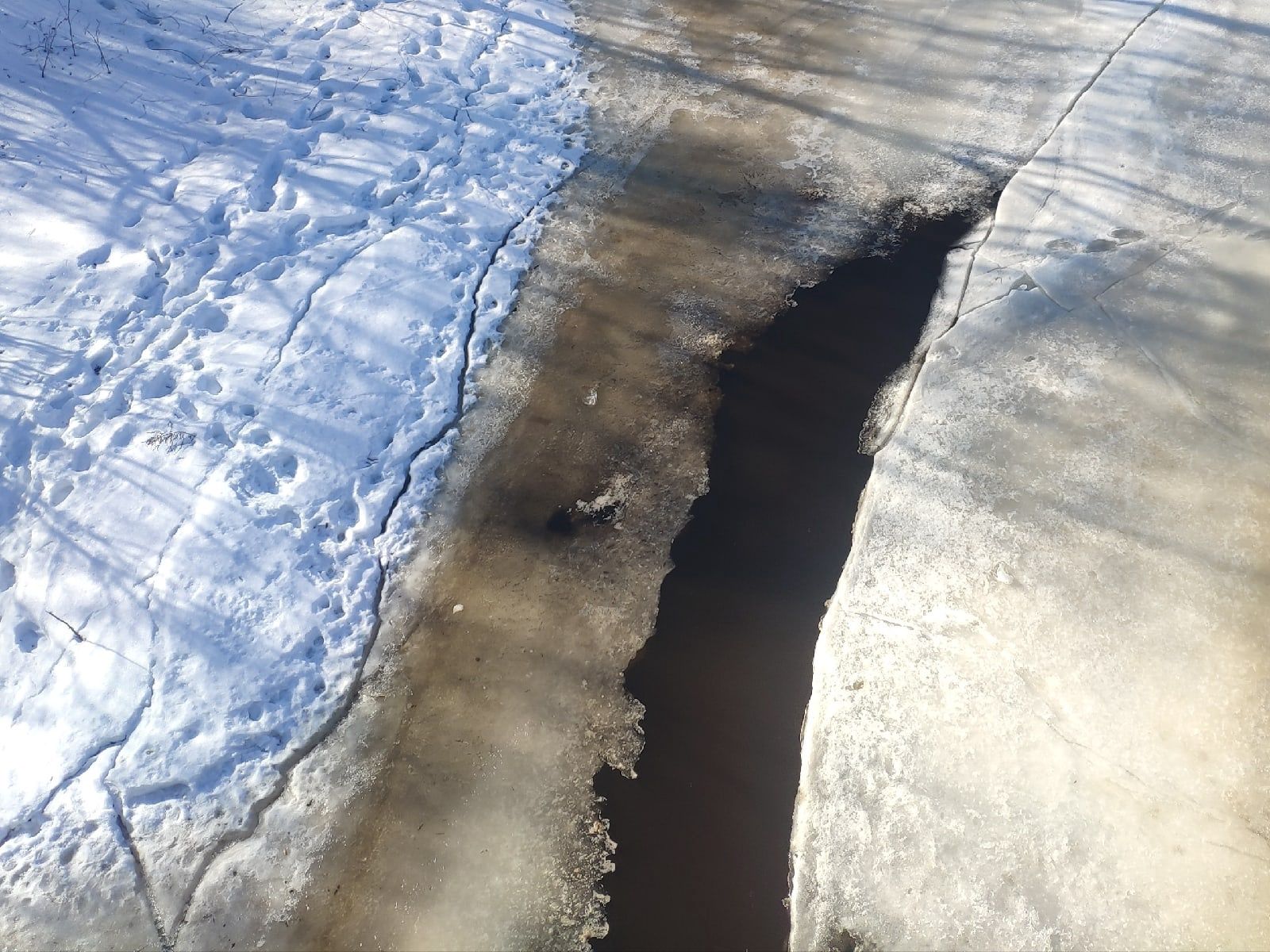 Плюсы и минусы. Прогноз погоды на 4 апреля