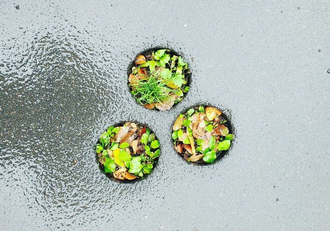 Руководители двух компаний осуждены за некачественный ремонт дорог в Петрозаводске