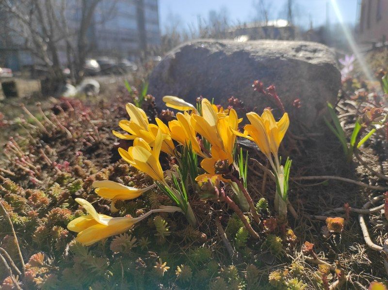 В Гидрометцентре Карелии рассказали, когда придет долгожданное тепло