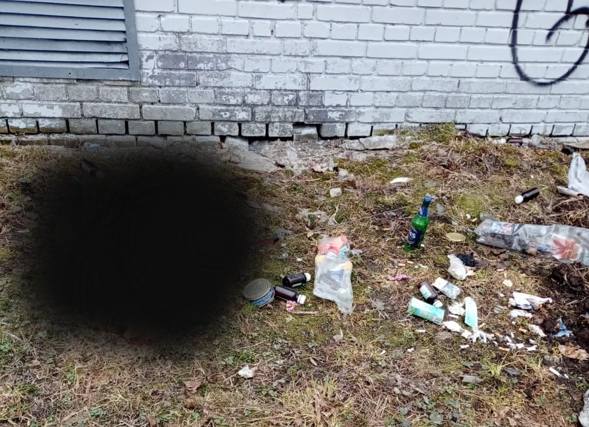 По факту убийства собаки в Петрозаводске возбуждено уголовное дело