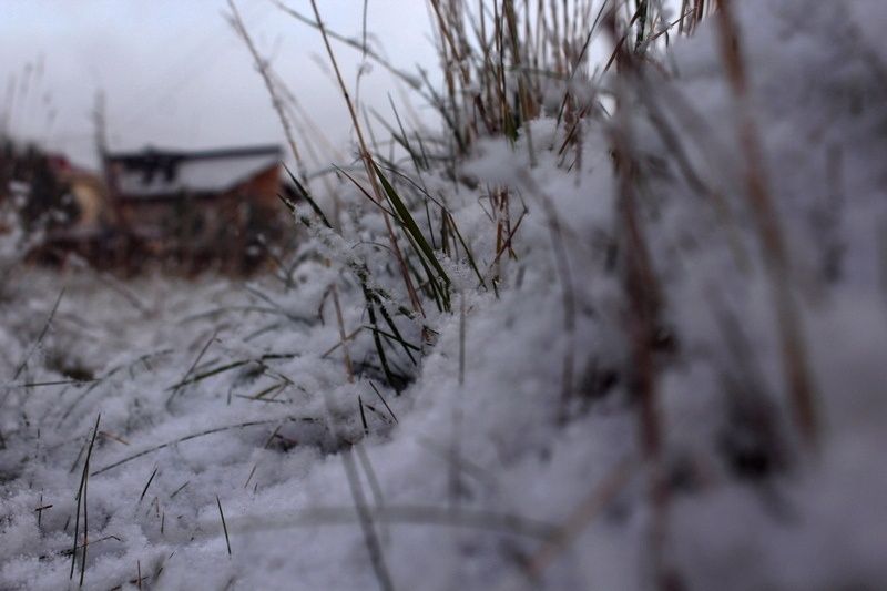 Зима возвращается в апреле: на Карелию надвигается снегопад с сильным ветром
