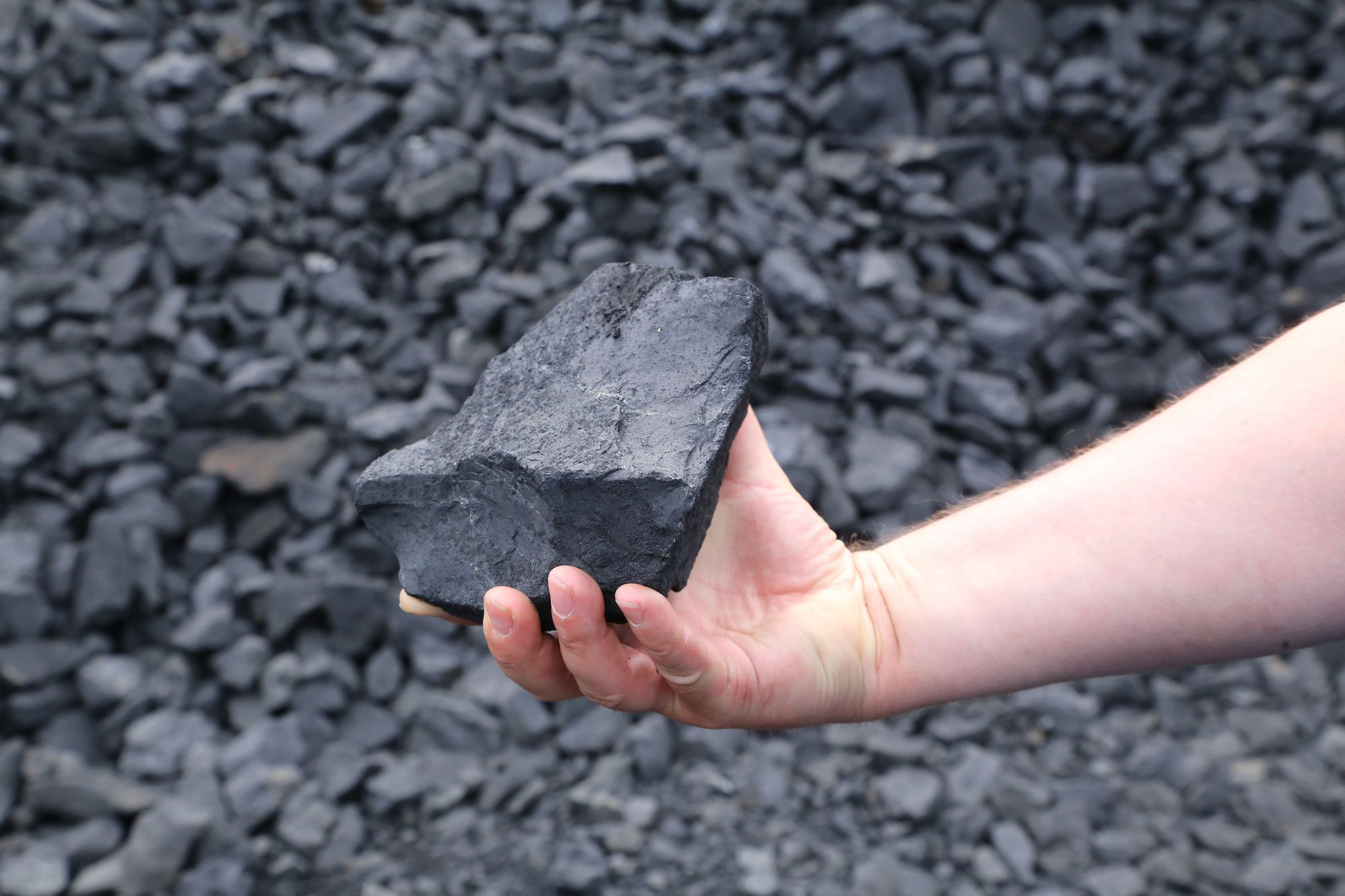 За шунгитом – будущее. Какие возможности дают новые экономические условия научно-производственному комплексу «Карбон-Шунгит»