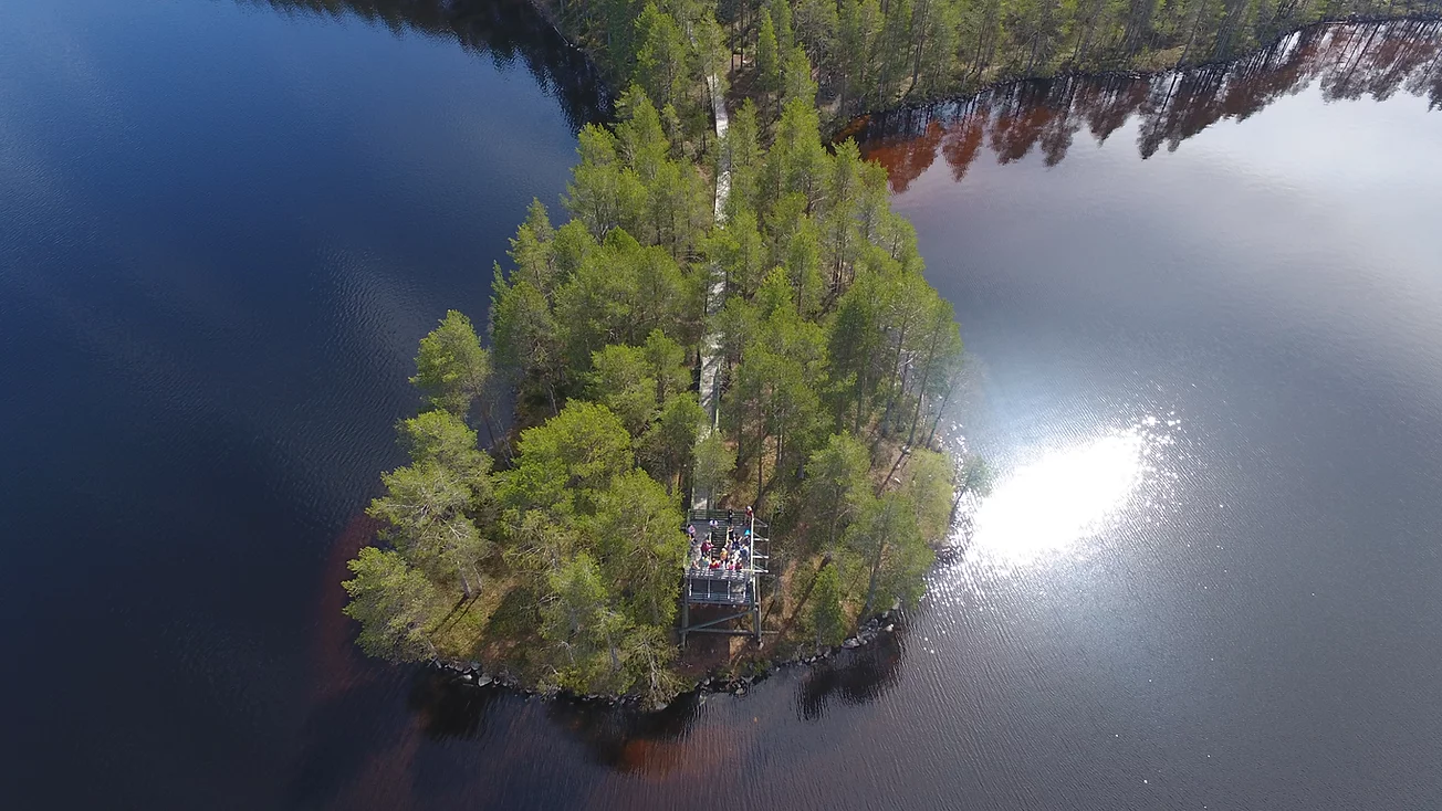 Тропу «Удивительное рядом» в Костомукше в праздники посетили около тысячи человек