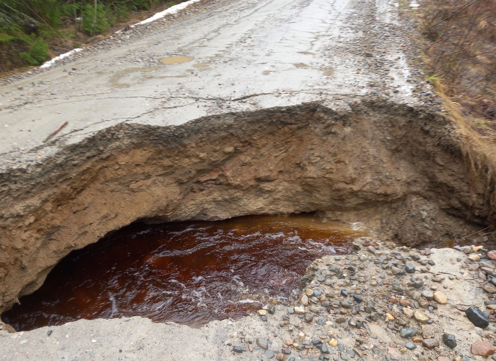 В Лососинном отрезанными от цивилизации из-за наводнения оказались дачники нескольких кооперативов