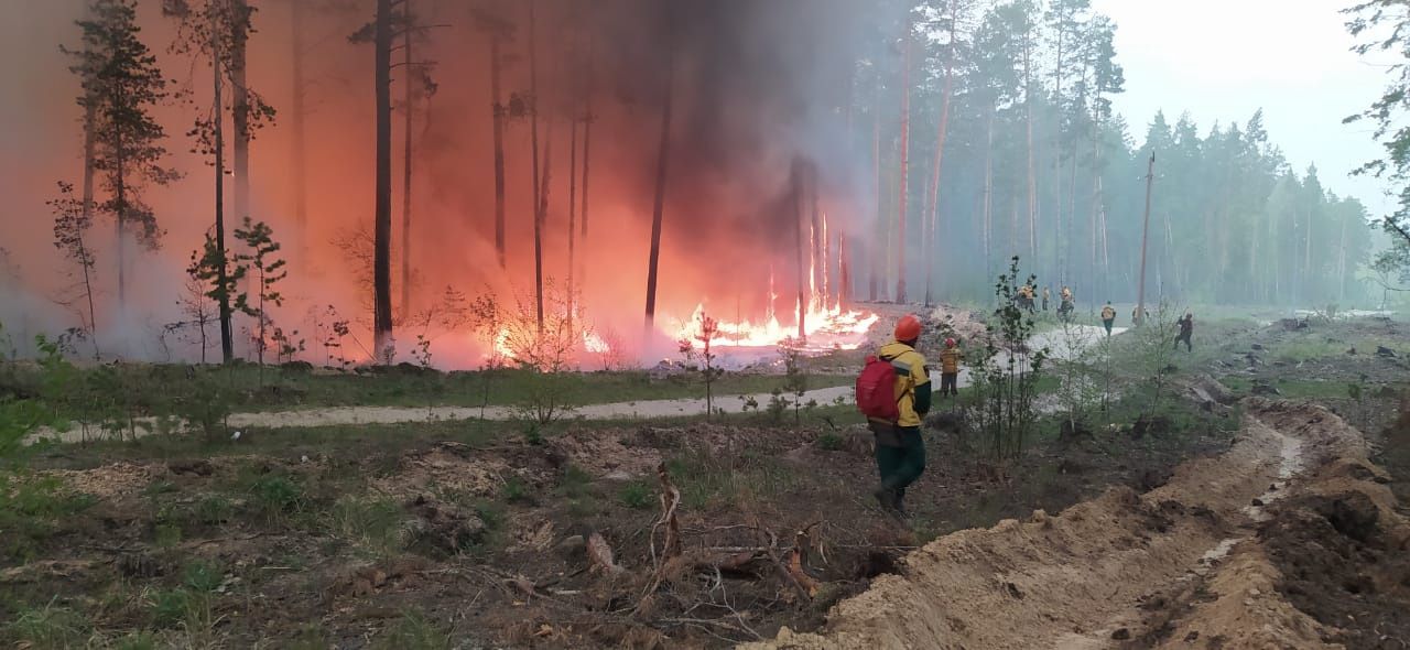 Карельские пожарные остановили большой пожар в Курганской области и отстояли поселок