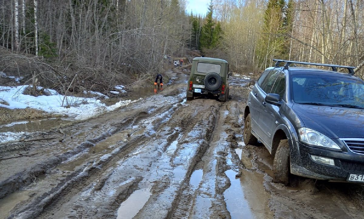 В Карелии за два года планируют построить асфальтированную дорогу к водопаду «Белые мосты»