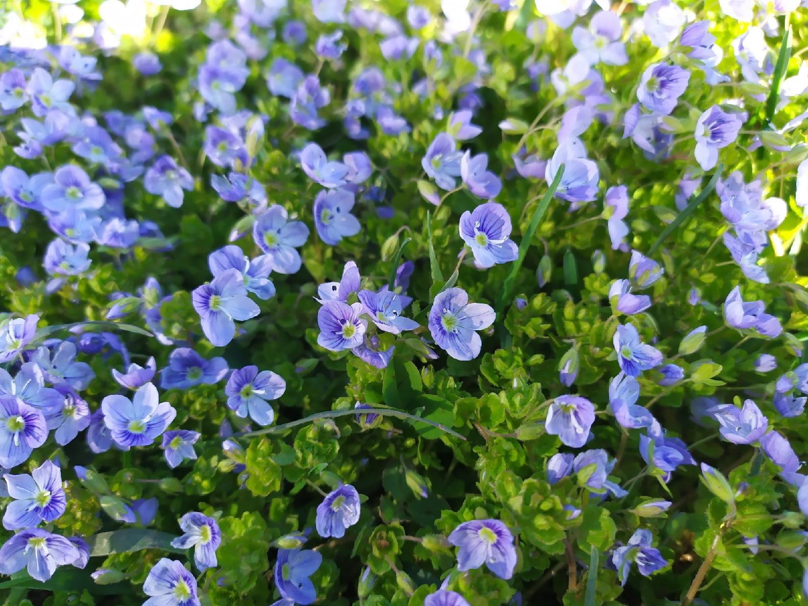 Грядет долгожданное потепление. Прогноз погоды на 27 мая