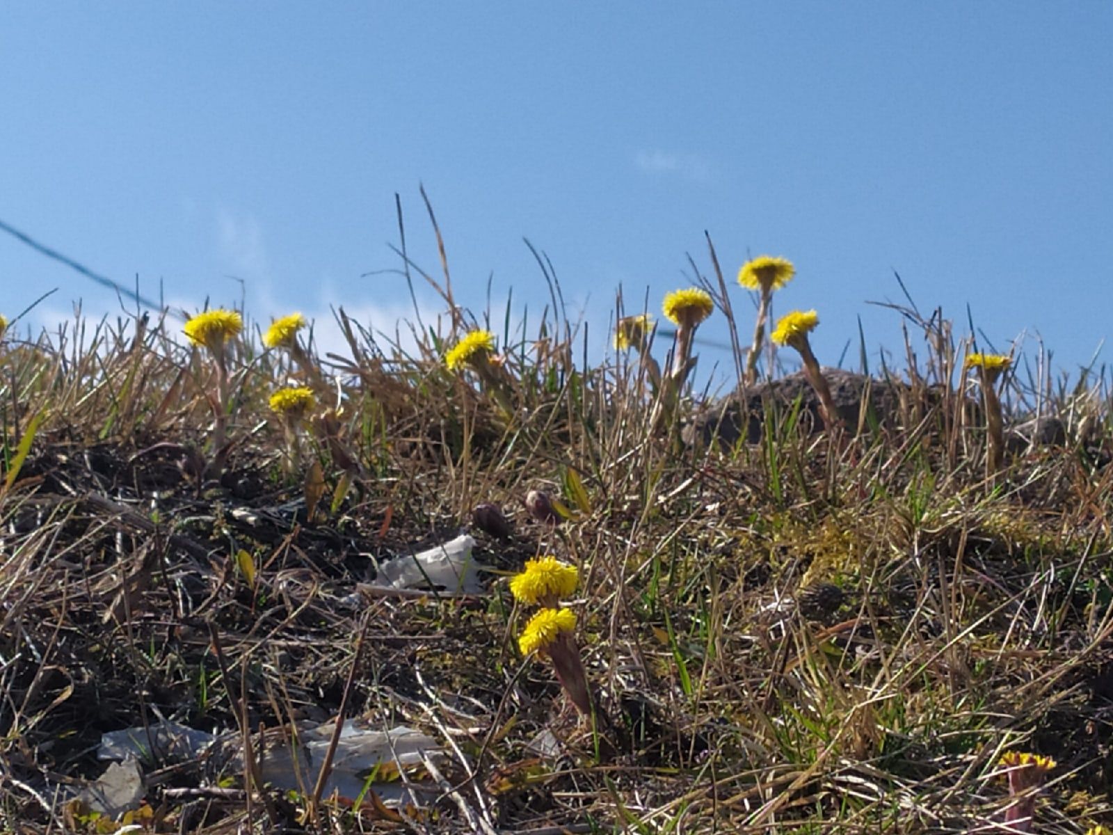 В Карелии потеплеет до +17°С. Прогноз погоды на 10 мая