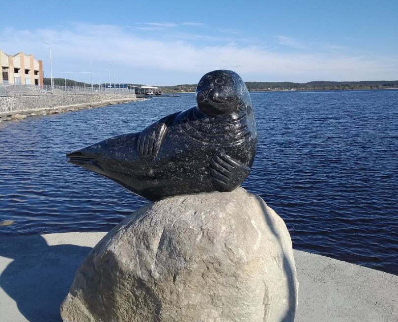Памятник нерпе будет установлен в городе Сортавала