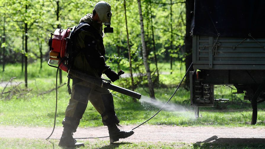 На следующей неделе в Петрозаводске планируют начать антиклещевую обработку