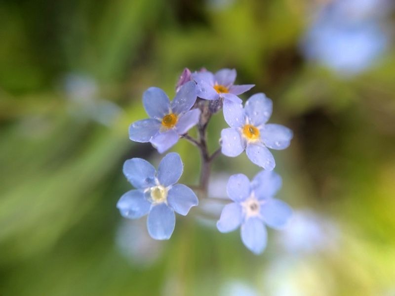 Местами гроза: прогноз погоды на 28 мая