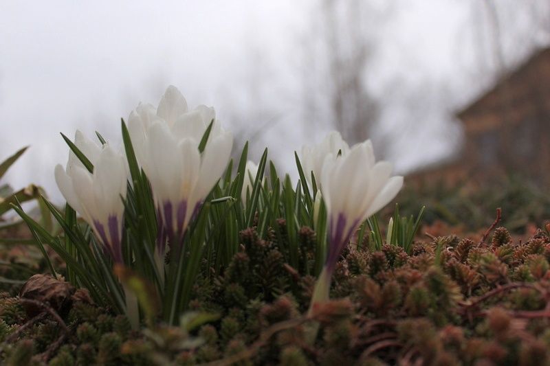 Снова пасмурно и прохладно: прогноз погоды на 26 мая