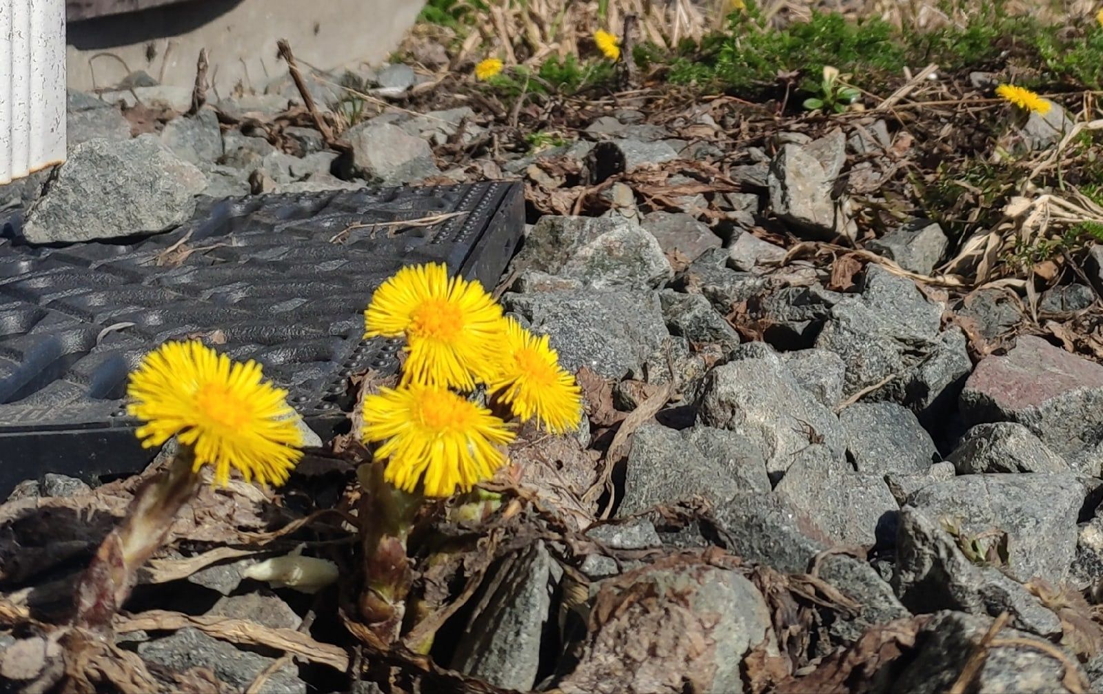 Самый теплый день. Прогноз погоды на 7 мая