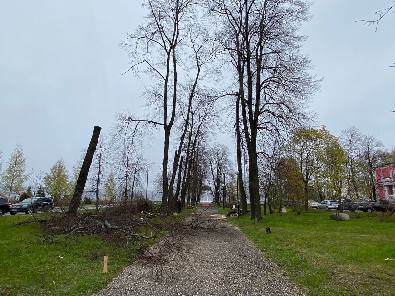 Левашовский бульвар в Петрозаводске замостят бело-розовым гранитом