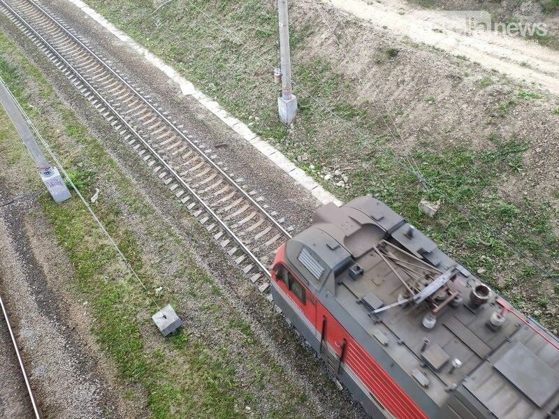 В Питкярантском районе поезд насмерть сбил медведя