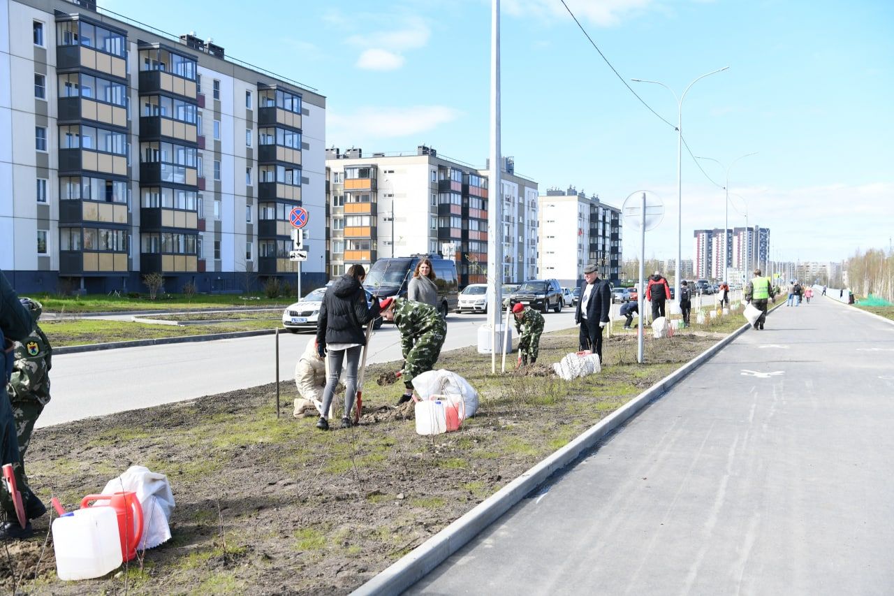 Поставь рябиновую ветвь на стол в стакане