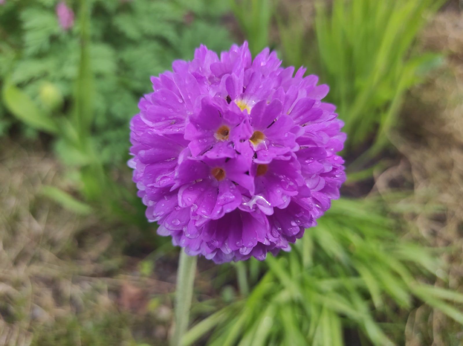 Тепло и влажно: прогноз погоды на 1 июня