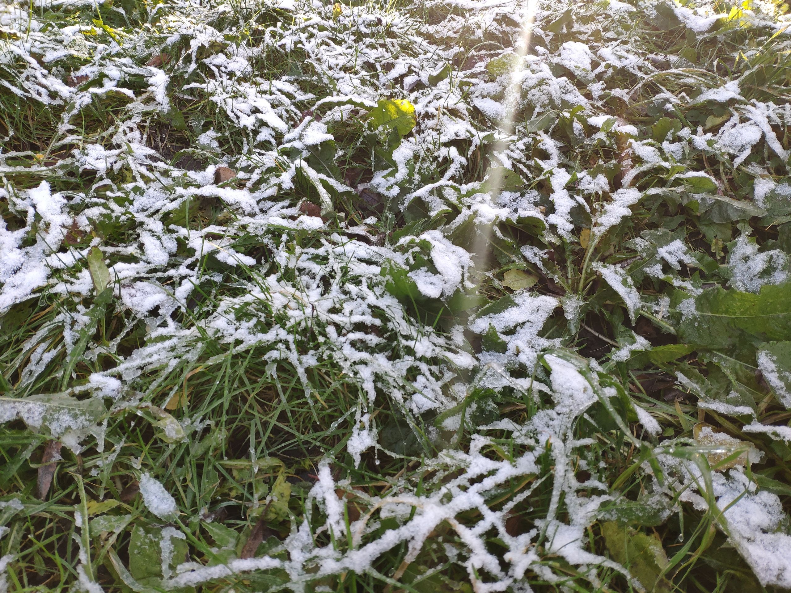 Ночью заморозки. Прогноз погоды на 19 мая