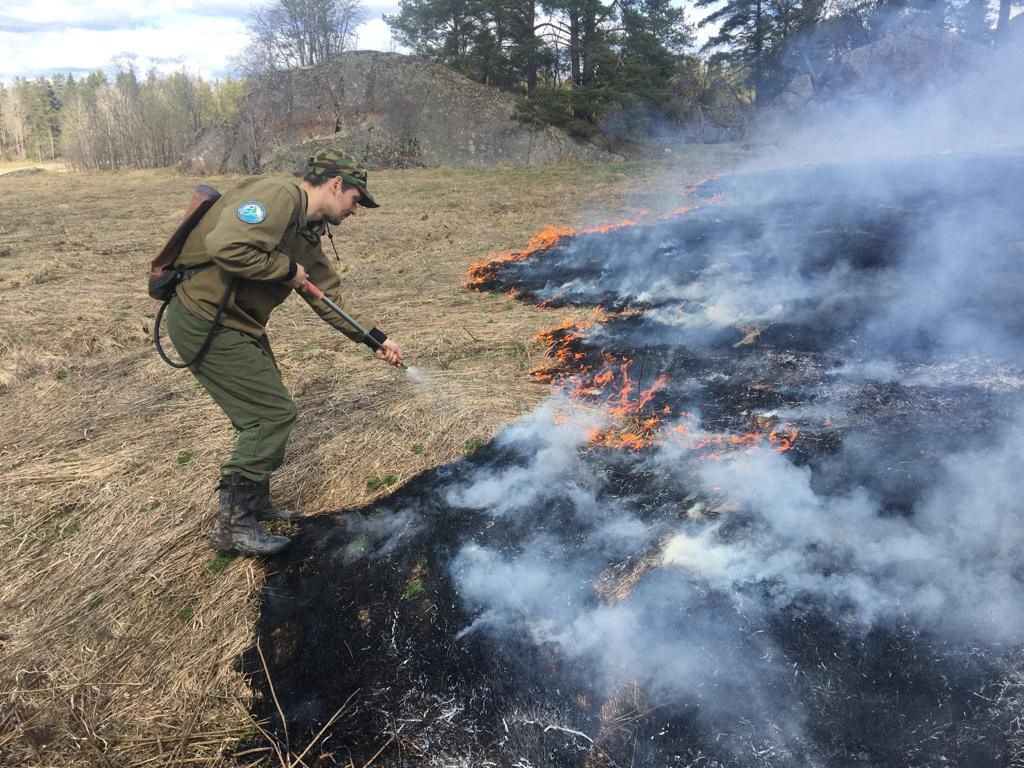 В Лахденпохском районе вновь тушили лесной пожар
