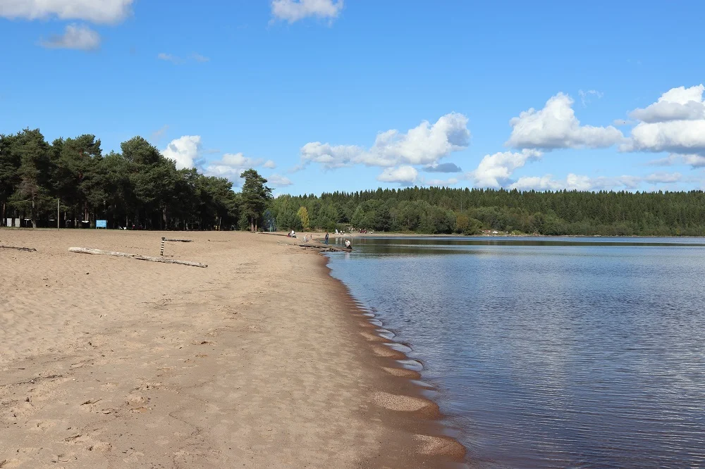 Петрозаводчан приглашают убрать пляж в Песках