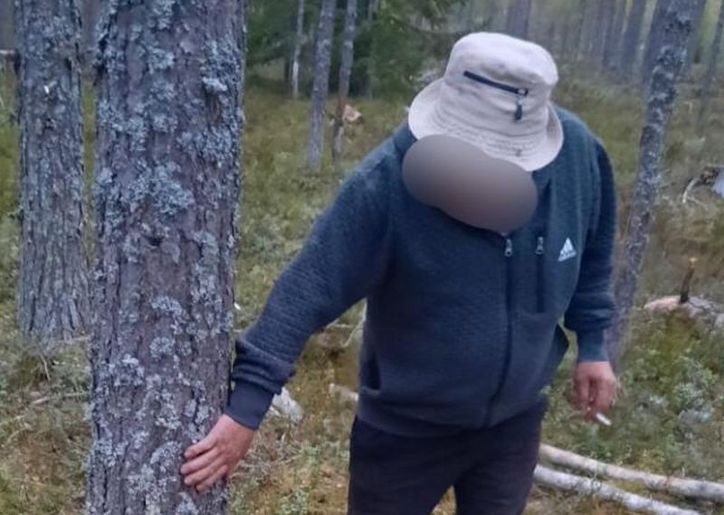 Спиленное дерево упало на жительницу Карелии