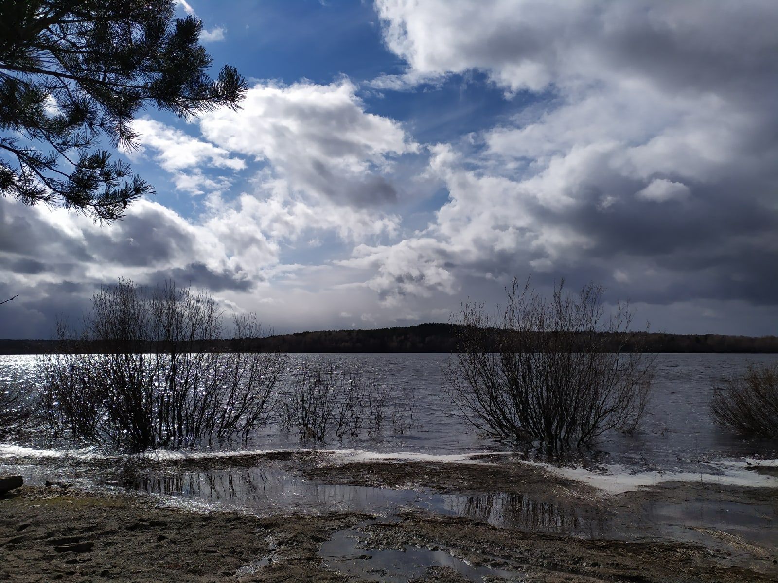 В Карелии потеплеет. Прогноз погоды на 5 мая