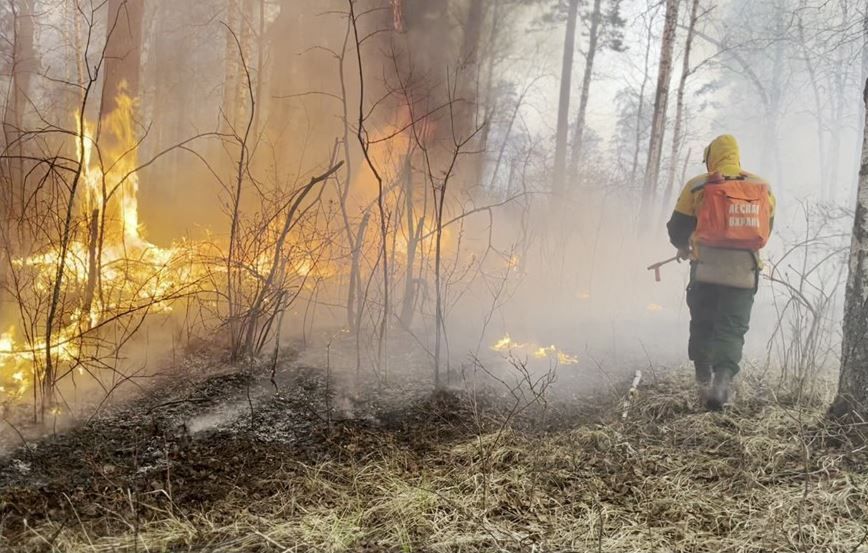 За выходные в Карелии произошли три лесных пожара