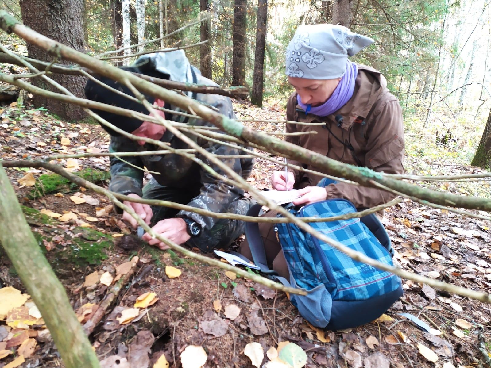Орхидею «Калипсо» не нашли, зато отыскали около 40 «ведьминых котлов»