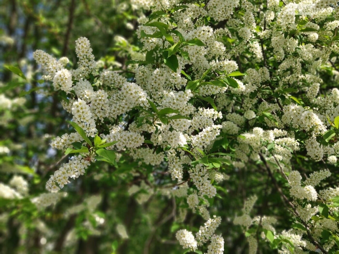 Снижение ставки по ипотеке, новое пособие и отцовский капитал: какие законы вступят в силу в мае