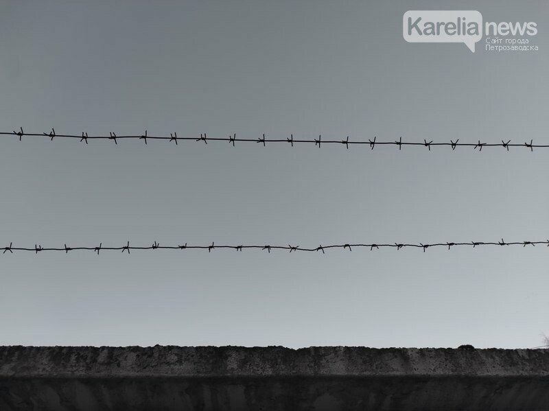 Житель Карелии вышел из тюрьмы и по пути домой снова нарушил закон