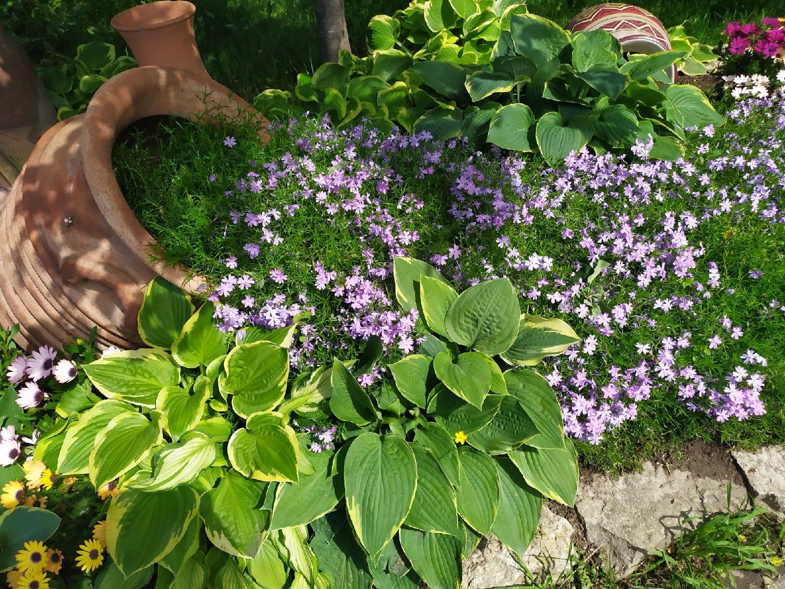 До 5 июля в Карелии будет жарко