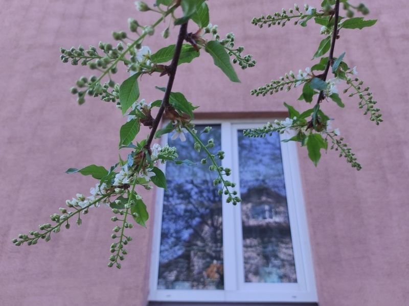 На длинных выходных двое маленьких детей выпали из окон в Карелии