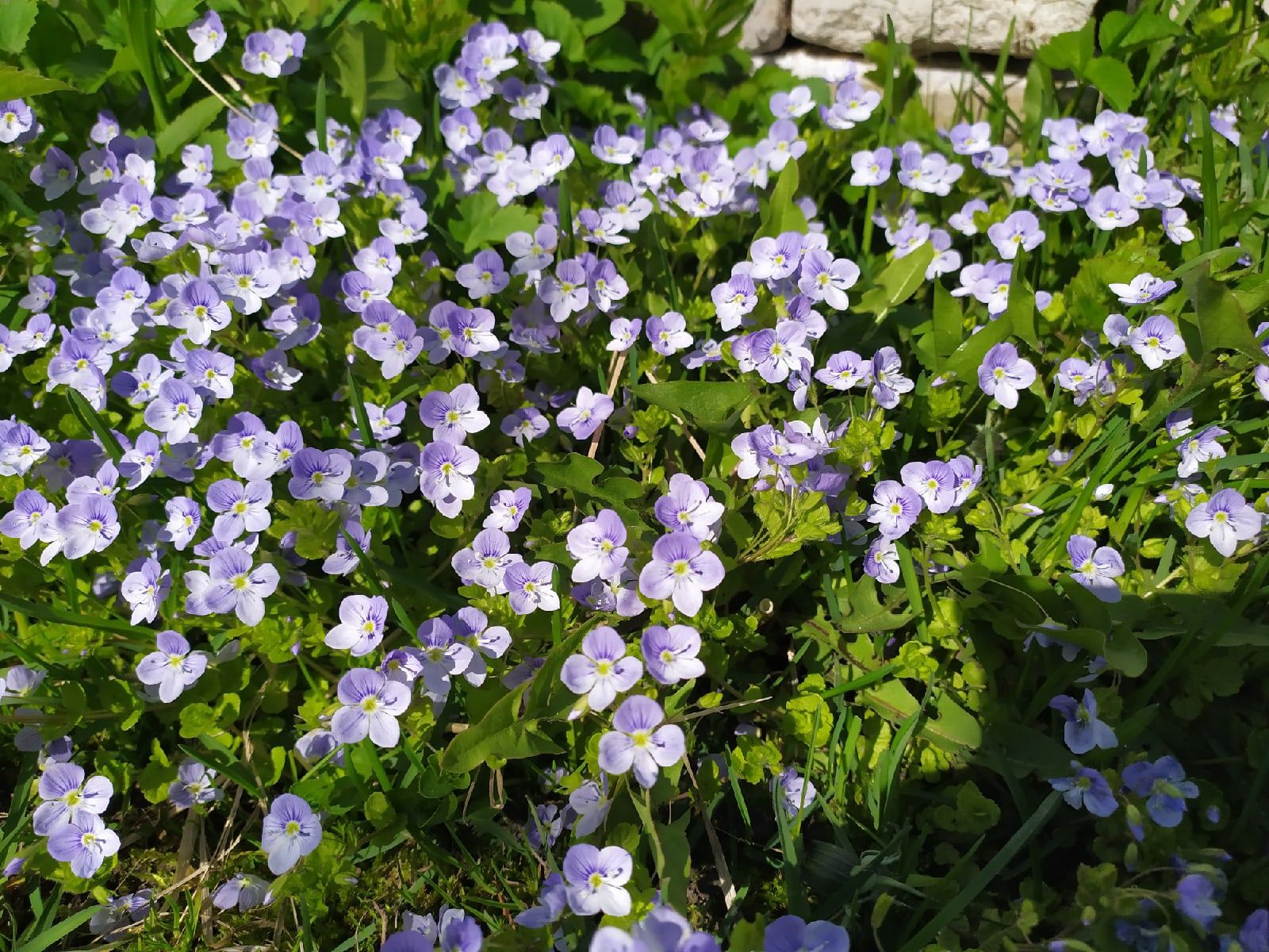 Суббота будет теплой и без осадков. Прогноз погоды на 11 июня