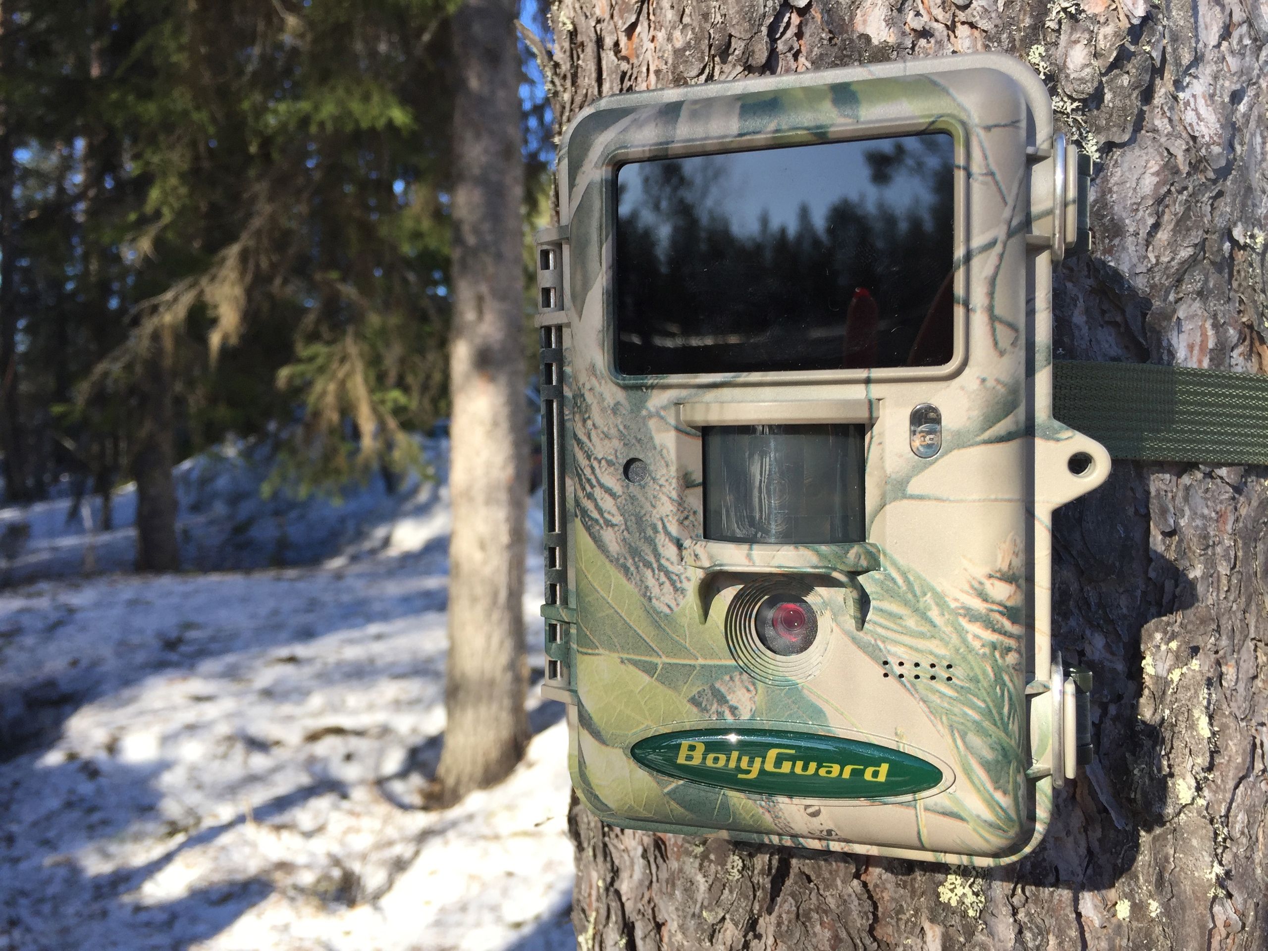 Браконьеров будут ловить с помощью фотоловушек