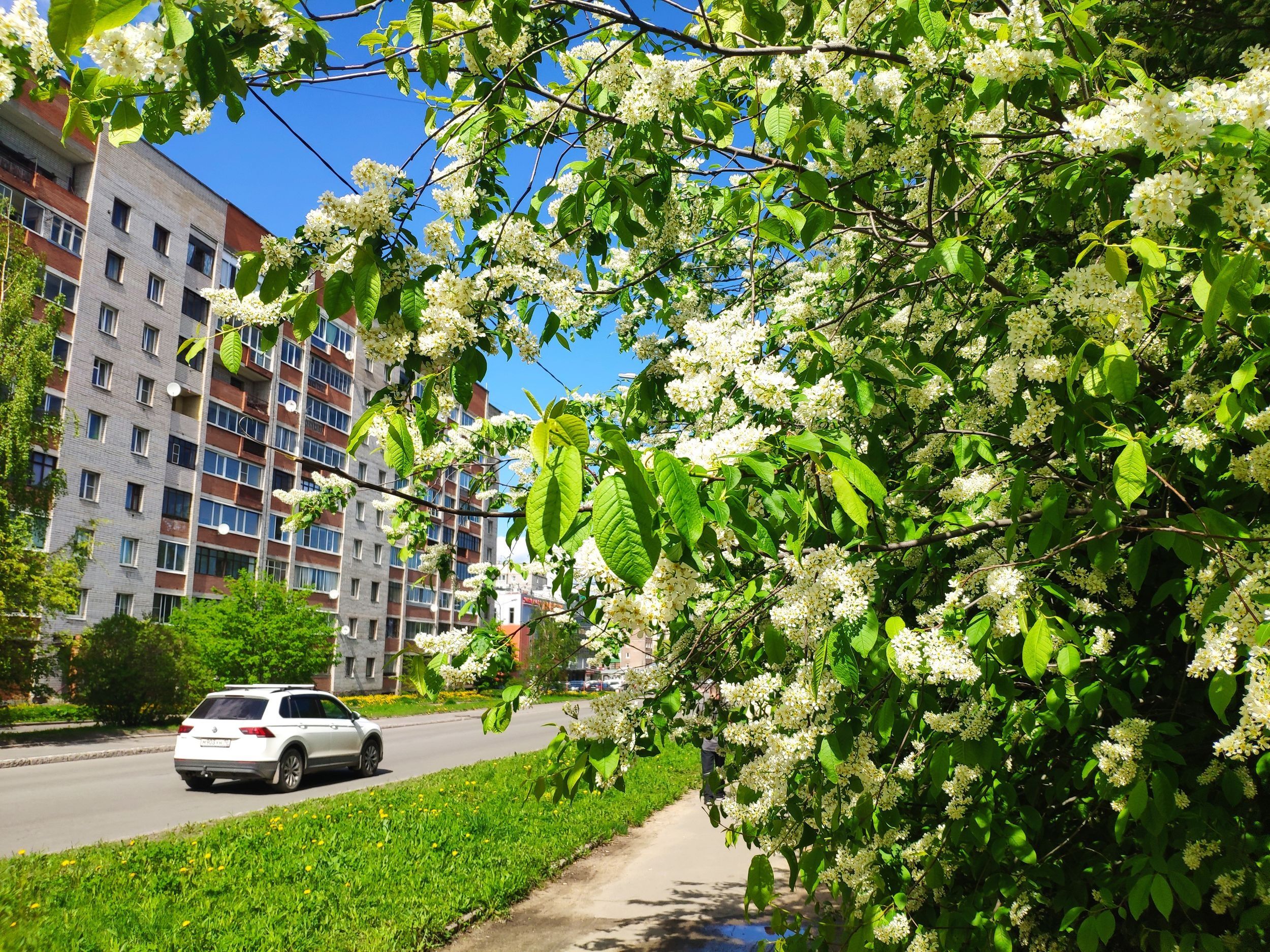 Местами до +25 : погода на 12 июня