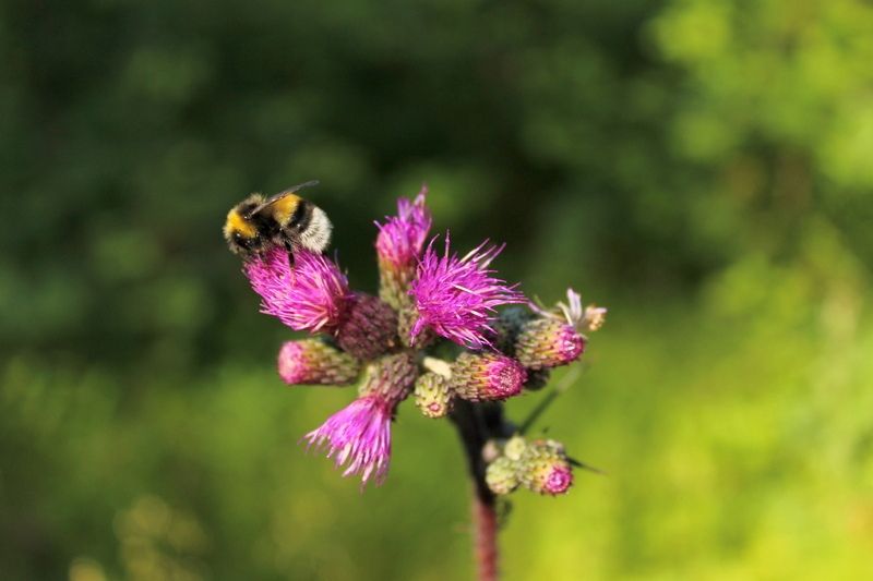 Местами до +30°С: жара не отступает