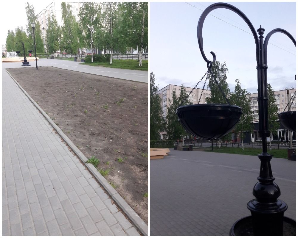 В администрации ответили на претензии горожан к пустым вазонам и голым газонам