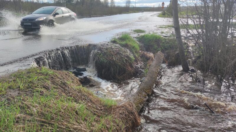 В отдаленном районе Петрозаводска восстановят дорогу